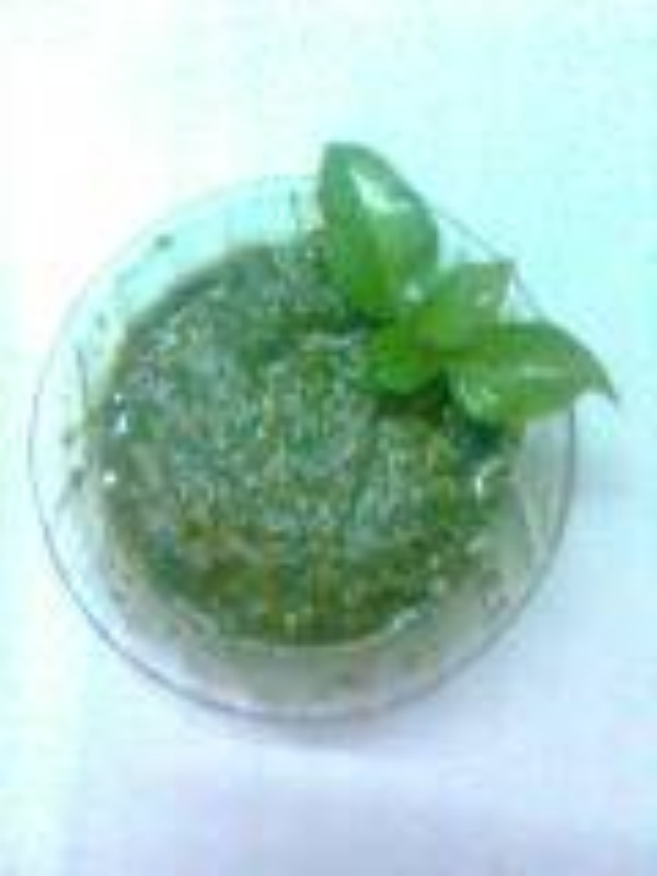 recipe photo